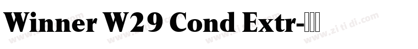 Winner W29 Cond Extr字体转换